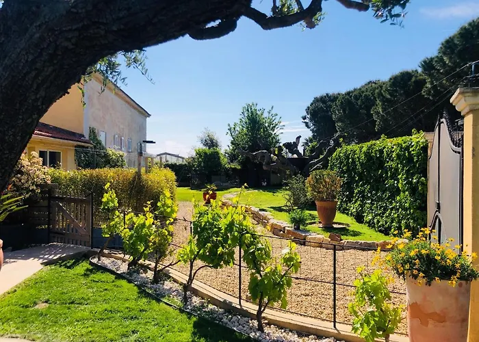 住宿加早餐酒店 - Douceur Du Sud, Entre Et Campagne