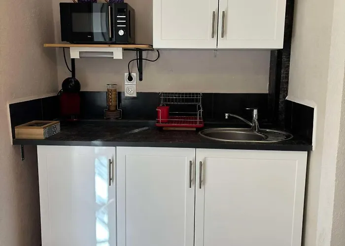 住宿加早餐酒店 - Douceur Du Sud, Entre Et Campagne 耶尔